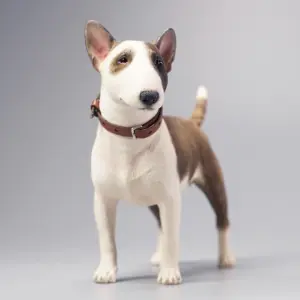 S79c94138387046259d461d21548fa5ebL