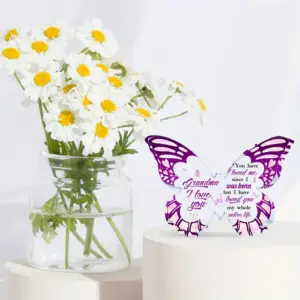 Butterfly Gift for Grandma with Iridescent Details 8 S79f849b8f9454c8a92ffa068284c476fy