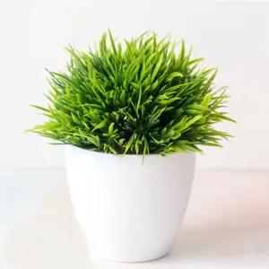 S7a00013966454cb08a86ebfe48072a93S