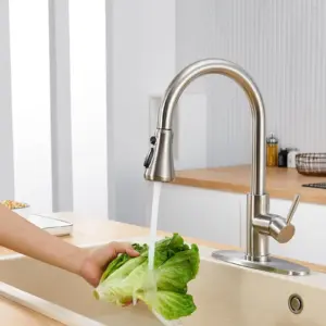 S7aa91c652a184679b7894750c0871fa4y