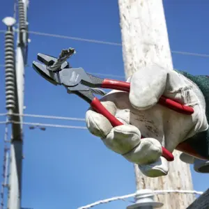 S7aedb0bd59f74a5c9ffb1307e161ea31n