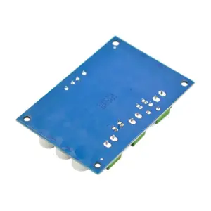 Blue XH-M542 Mono Audio Power Amplifier Board 7 S7b2acb36b72b431188fca696b65de965y