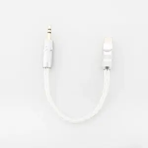 Premium Silver USB-C Audio Cable for HiFi Sound 15 S7bc44119161b4afc86d125d23c2cfd71e