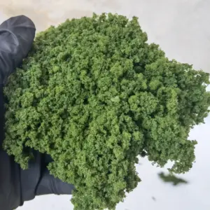 Vibrant Sponge Shrub Clusters for Miniatures 19 S7d22d7c3f1af43149c865892d2a0c17eq