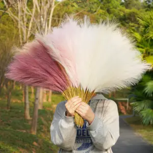 Artificial Pampas Grass Stems Set of 10