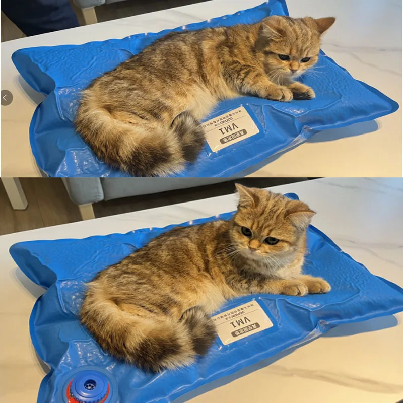 Blue Veterinary Surgical Support Mat 2 Blue Veterinary Surgical Support Mat - Image 2