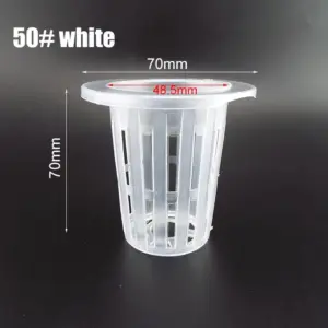 S7fb648795b1b4b5c914b84b48df74c6fW