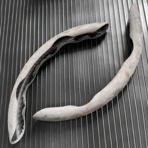 S80717cdff1b24c10809d529c0ded69c7u