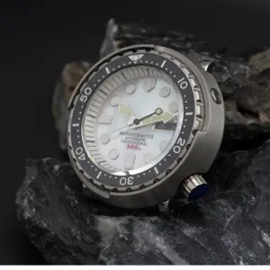 S80c4a9503ffc45a0b22e5afd931170de2