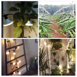 S812934f4390e4a5183dfde1b4157fd5dB