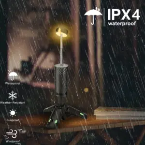 S81df6288082c487bb9f18478f35481c7K