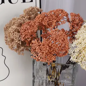 S82801c35da1b41f7839391274969a056Z