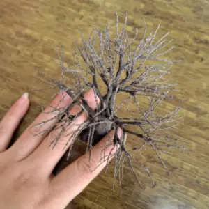 S8294ae4d6197410190d7da3a9ff70d85S