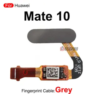 S838fa01b88a044129f6f5b61d365f3e6O