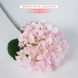 S83b0b19c1bfe41da9c21690ad2a1ab16w