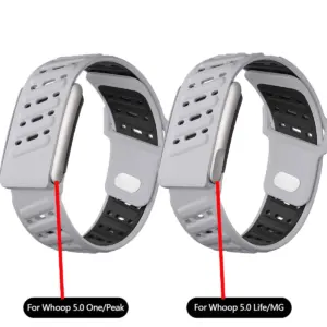 S83c314feb3fe4a2cb06f79f6d0e5e931R