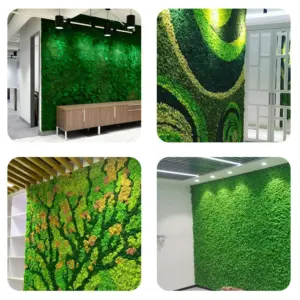 S849ed5b59f83475ea95f6a858f08eb12F