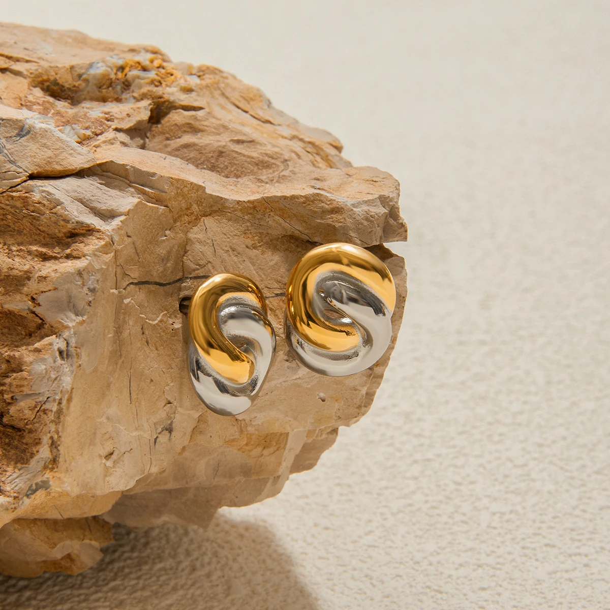 Stainless Steel Two-Tone Geometric Earrings 6 Stainless Steel Two-Tone Geometric Earrings - Image 6