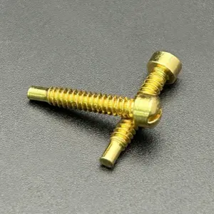 Guitar Pickup Screws Set, 200 pcs, 21mm 9 S86b106cd32e74278ab41ea904d0003a2u