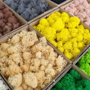 S86b875311379406aa2648188ab1eb278q 1