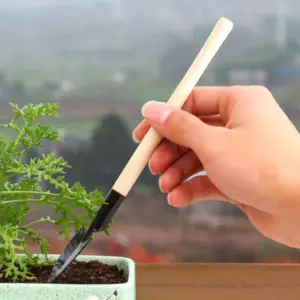 S8788f942817941bb8d81db4996ba550cy