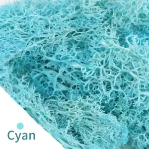 S8789c1c2bd624f9abd1f8dc8d3c3444fF 6