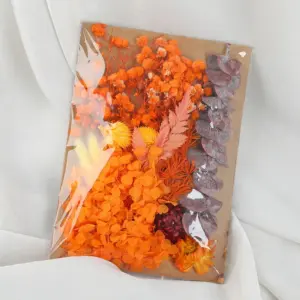 S88247101d6144fe08b0ee59e210490b3G