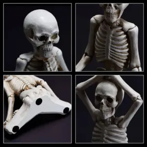 S88ee49de455547298ece331b3786169do