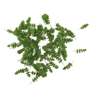 S89ced7989ff54197a2d27f46c9d8d3d2T