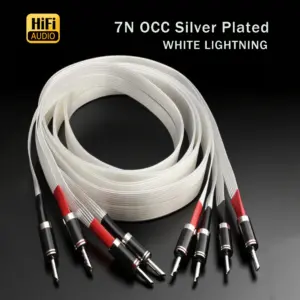 S8d71c74ac8df4bbf8afa04404e9c36e97