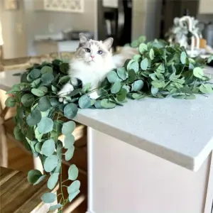 S8f265cf465fb45059019dba8f1c6128eK