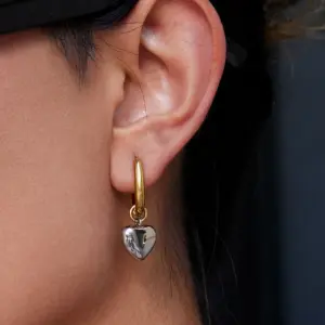 Stainless Steel Gold and Silver Earrings 9 S90b4937b4721432bb2fbadb6b5619546t