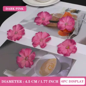 S9108c2a2e27e4999886b4d072045ad5bg