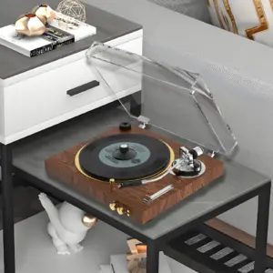 Carbon Fiber Record Stabilizer 130g for Turntables 7 S9151e8fcf5064aa9a2d4258a35cf5f49z