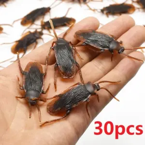 Realistic Plastic Cockroaches for Pranks (Set of 5-50) 17 S91b4ff8d1be240388952b8ba4324b560N