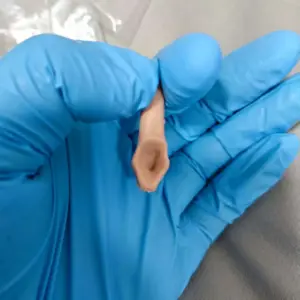 S93f65f9743274768ba90cd210e1df6b75