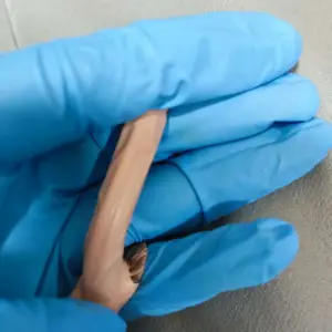 S94a48ffa22804e5c9ceee43bc270b153E