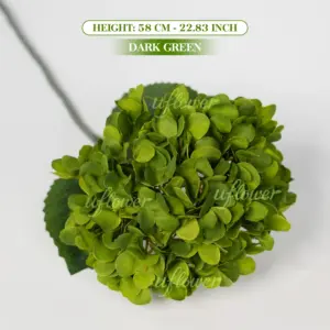 S951b35f20c734910a827f193ba1399de5