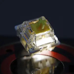 S952f068361cd4351909c3bd1bad2d655L