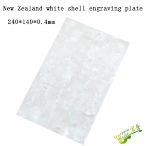 S953e1f3a263f4f3bac61873c9ce5acaaq