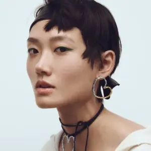 Stainless Steel Heart Earrings for Women 8 S971c161cd26144b8a12830145a206999q