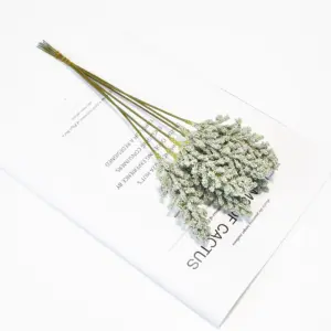 S98f9be0d6b6c4f26995303ecc695eba8X