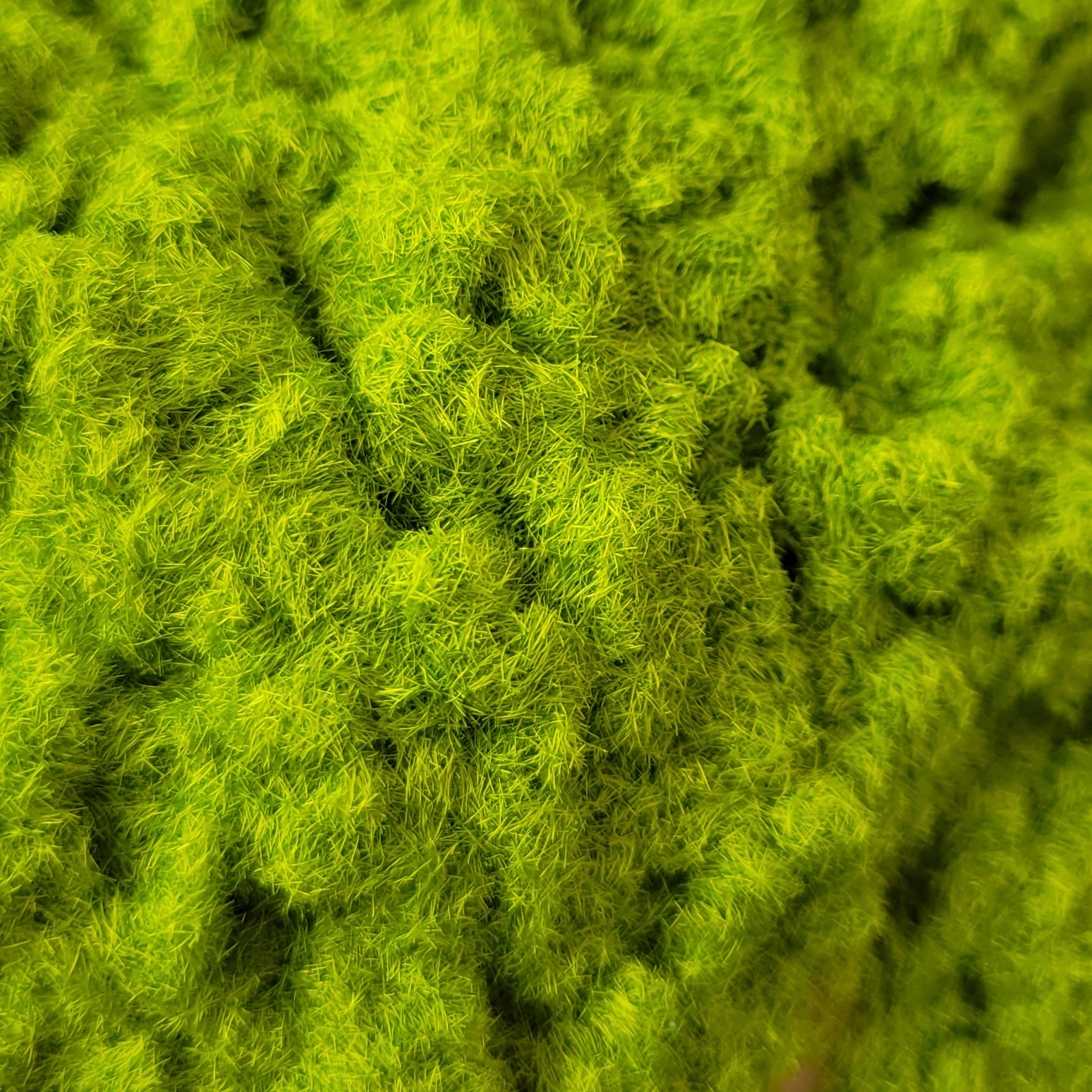 Vivid Static Grass for Miniature Models 5 Vivid Static Grass for Miniature Models - Image 5