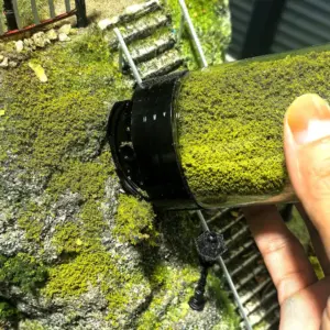 Forest Green Terrain Powder 200ML for Dioramas 15 S998e4b932416439587504fd84c0cabcfE