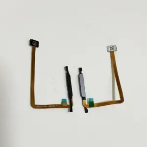 S99f99af0d1fc4f77b44543c0639d3086f