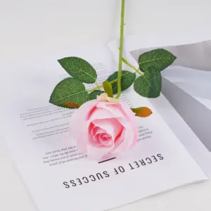 S9a3c690bd50f46a587125b997beb37fdo