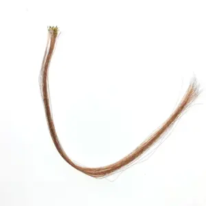 S9a6909af48b04a6abbc9ef63948b2ac0Q