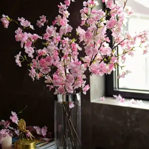 S9a89d90d10fc403fa591eecafd72a5ab9