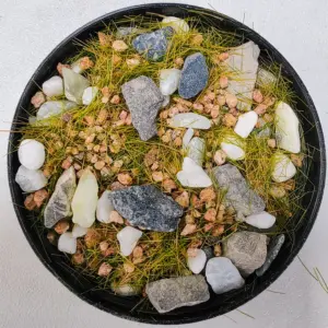 S9adaf2f80ab849c7ad2e65e1a367a2e4C