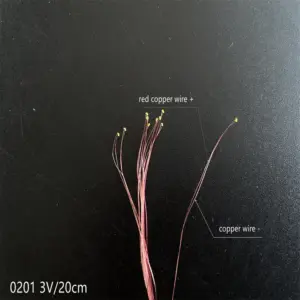 S9c55c382fb5e42d9b6d8f9ae89f72df5w